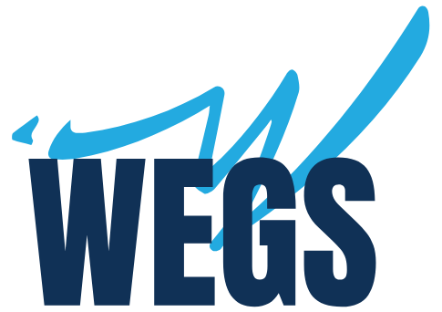 WEGS Ön Muhasebe Programı